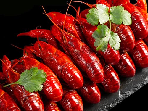 大安镇小龙虾培训